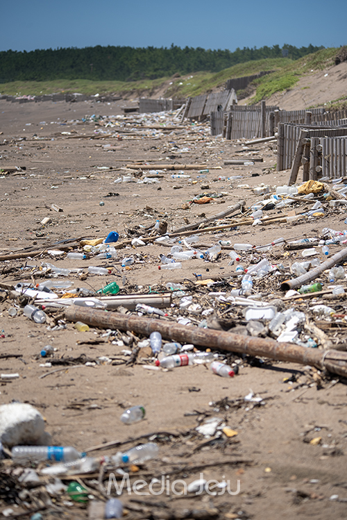 사진은 지난해 여름 서귀포시 안덕면 사계리 해안에 밀려온 해양쓰레기의 모습. /사진=미디어제주.
