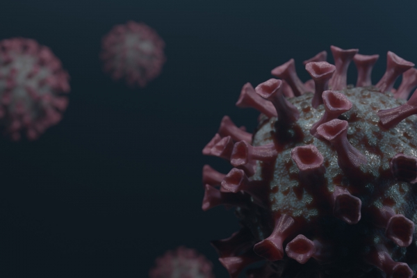 제주에서 변이 바이러스에 의해 코로나19에 감염된 사례로 8명이 추가로 확인됐다.