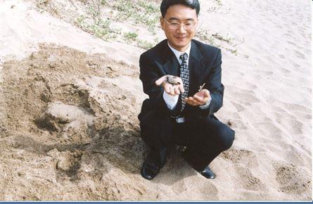 ▲ 1998년 중문 해안사구에 산란한 붉은바다거북 새끼 ©문대연