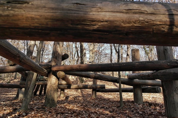 얼기설기 이어진 통나무를 걷는 짜릿함이 '베짱이숲'에 있다. 미디어제주