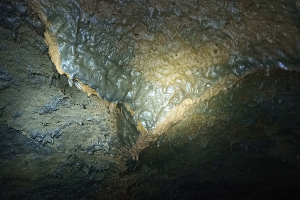 지난 3월 제주시 구좌읍 동복리에서 배수로 개선공사 도중 발견된 새로운 용암동굴의 내부. /사진=제주도 세계유산본부.
