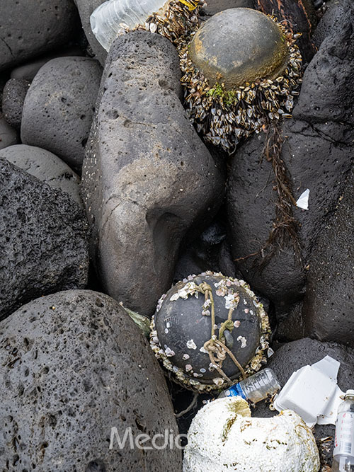 11일 서귀포시 대정읍 일과리 해안에서 수거된 각종 쓰레기들. 쓰레기에는 따게비의 한 종류인 조개삿갓이 붙어 자라나고 있었다. 쓰레기가 얼마나 오랜 시간 바다 위에 떠있었을지도 쉽사리 짐작하기 힘들 정도다. /사진=미디어제주.
