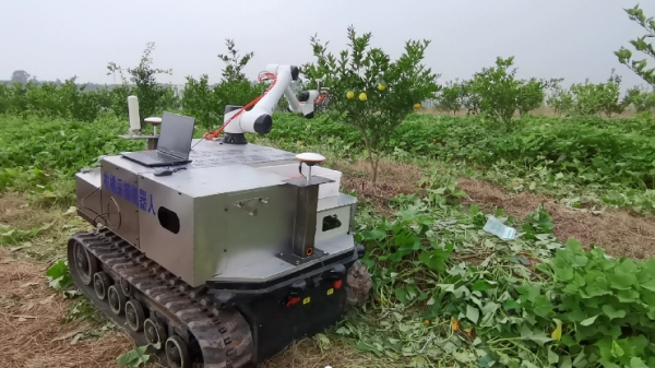 중국 충칭대에서 개발한 스마트 감귤따기 로봇.
