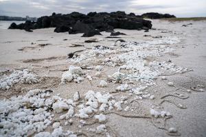 제주 구좌읍 해안의 기름 덩어리 미스터리, 대대적인 수거 돌입