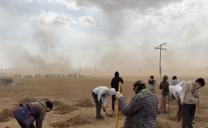 사막화 위기 몽골 살려낸 KOICA-NGO 봉사단이 뿌린 씨앗